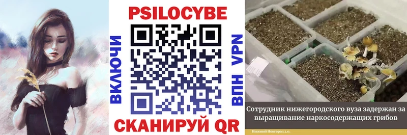 закладка  Орехово-Зуево  Псилоцибиновые грибы ЛСД 